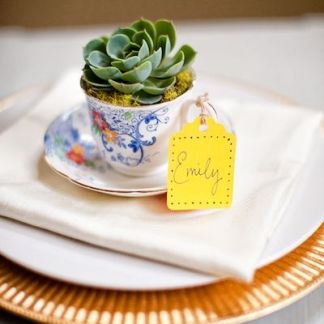 Any small plant can be planted in a cup as a gift.