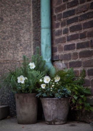 Garden containers placed in a dull dark corner