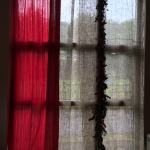 Detail of burlap sari fabric and flower garland window dressing.